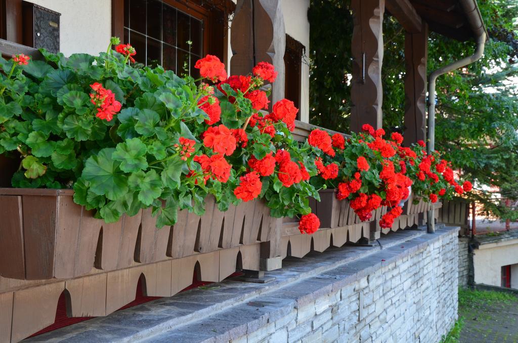Garni Sayonara Bed and Breakfast Al Plan di Mareo Buitenkant foto